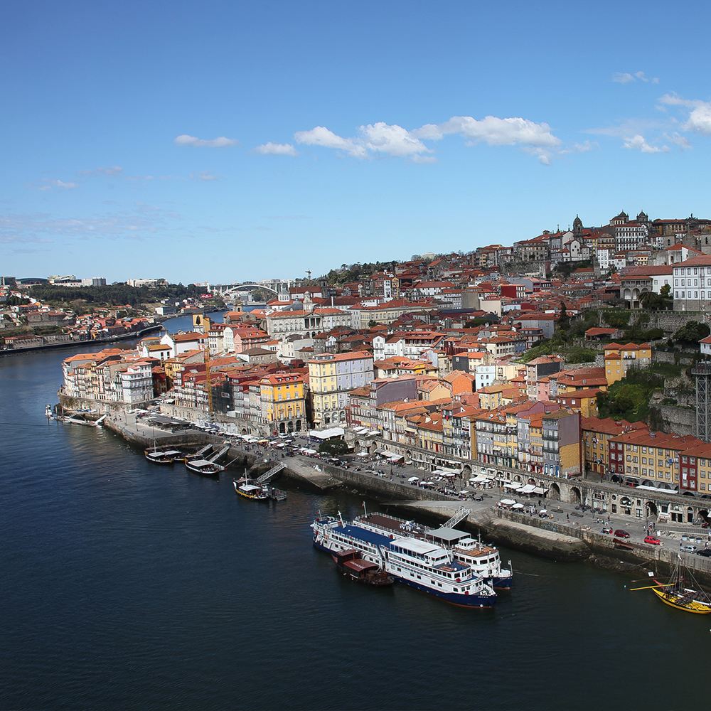 From India to France And Portugal: Follow Our Client Feed