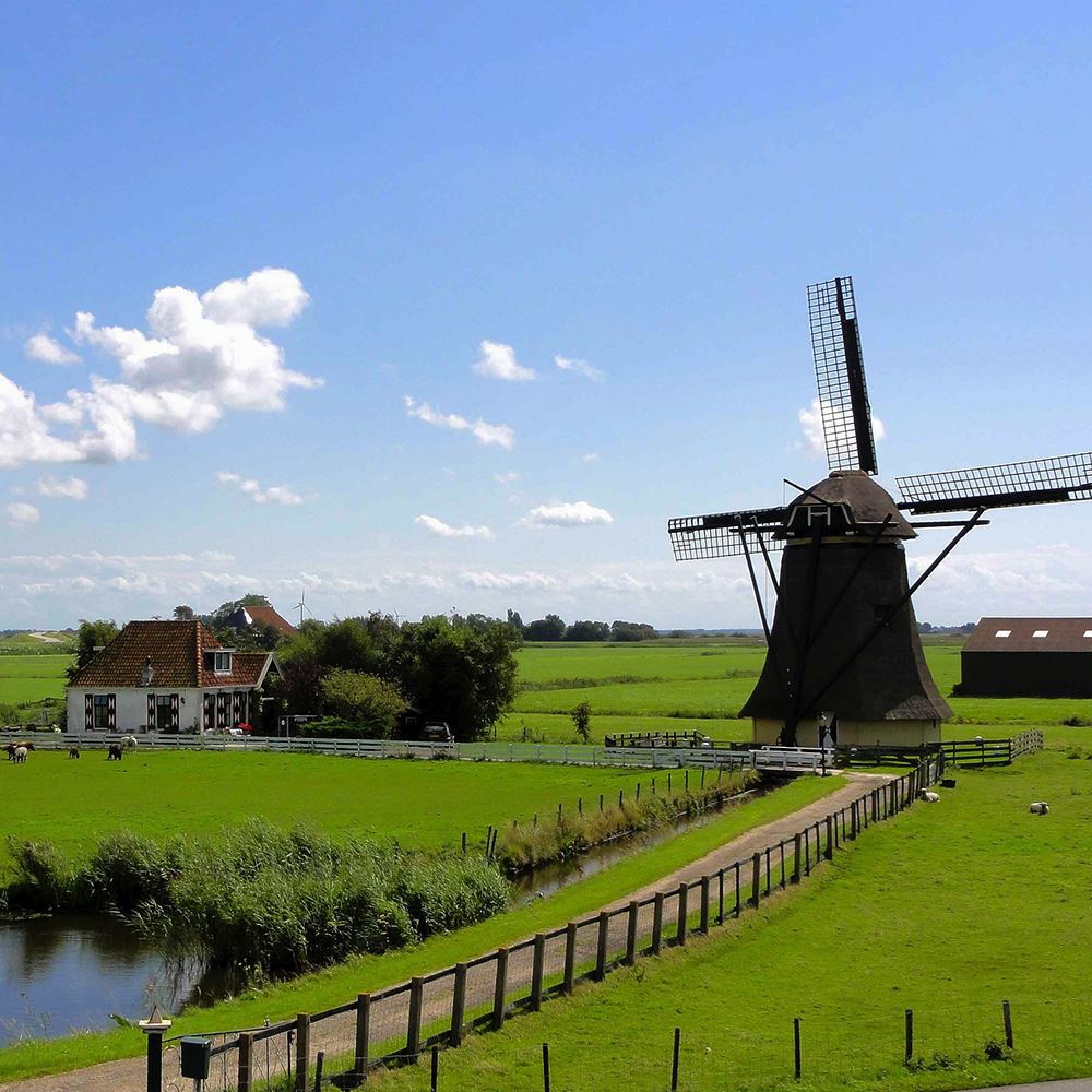 World Class Countryside Homes | Modern Interior Blog | India
