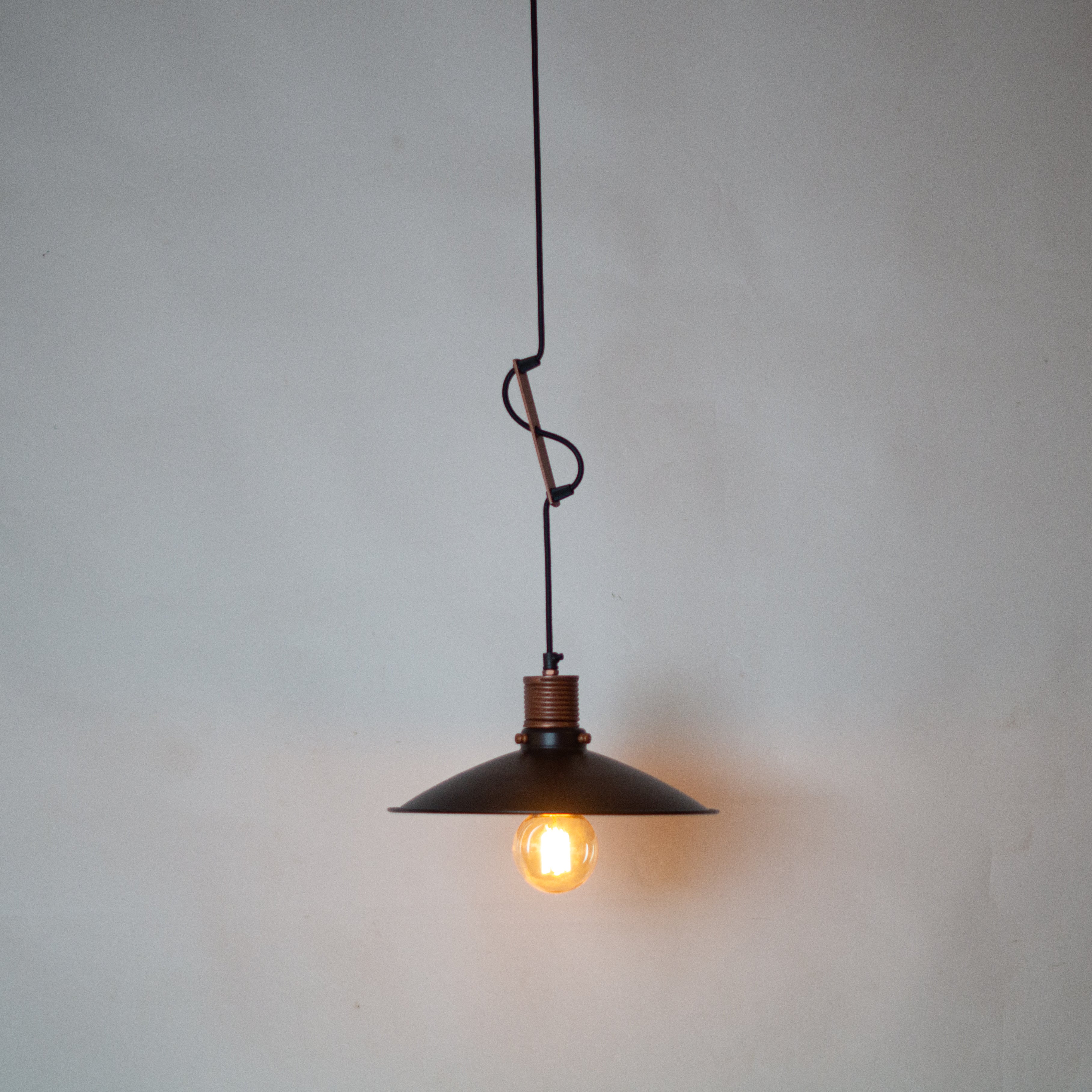CLH161 Telegraph Hanging Light