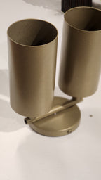 CLH172 Beige Dual Spot Ceiling Light