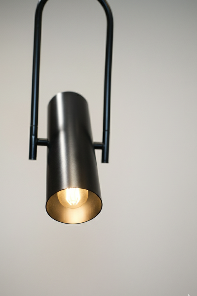 CLH183 The Focus Spot Pendant Light