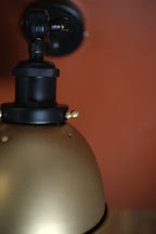 FSW225 Industrial Reach Wall Sconce