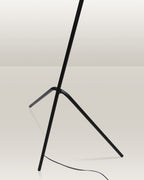 Elegant black floor lamp with a sturdy construction and easy assembly, ideal for modern decor.