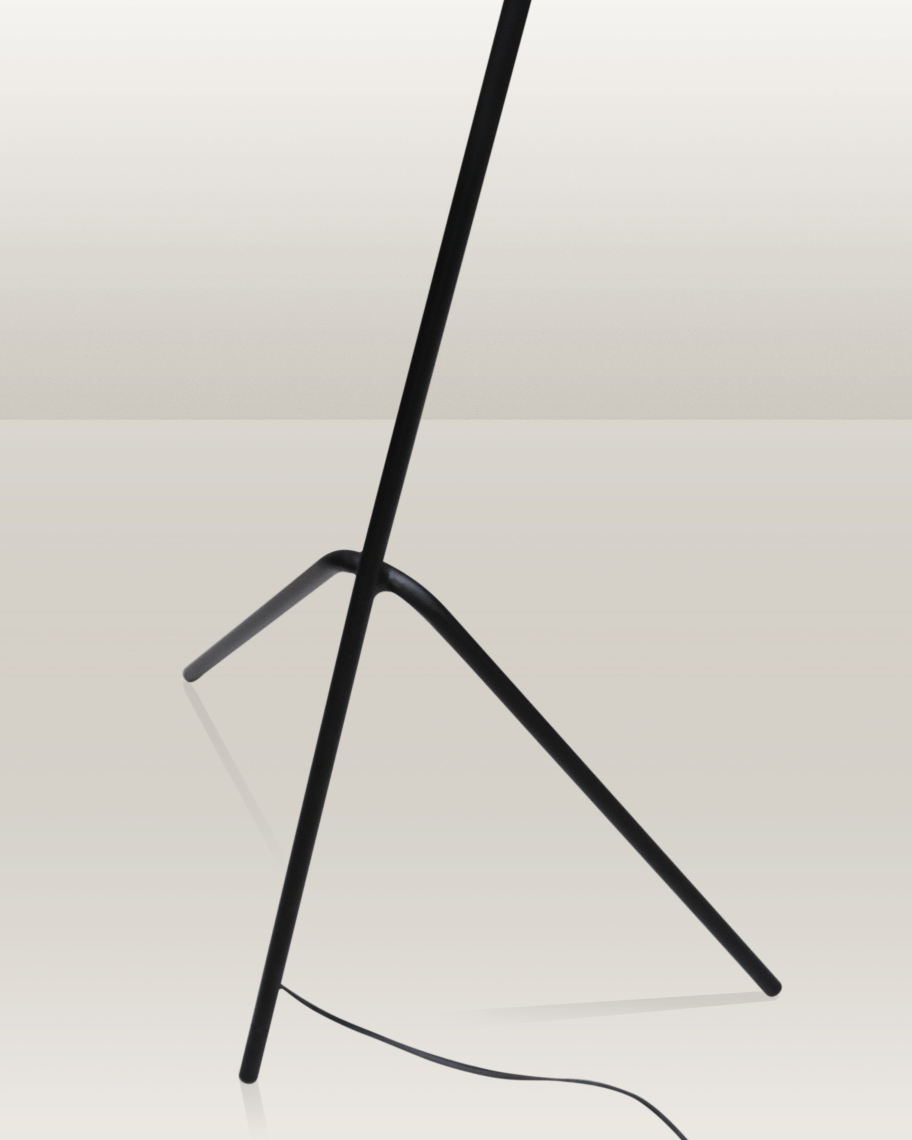 Elegant black floor lamp with a sturdy construction and easy assembly, ideal for modern decor.