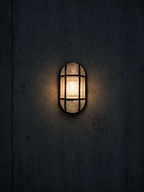 AL104 Bulkhead Light