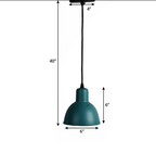 CLH149 Hawk Pendant Light