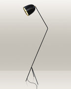 Sleek, black floor lamp with an adjustable head, tripod base, and elegant design.