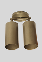 CLH172 Beige Dual Spot Ceiling Light