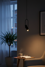 CLH183 The Focus Spot Pendant Light - The Black Steel