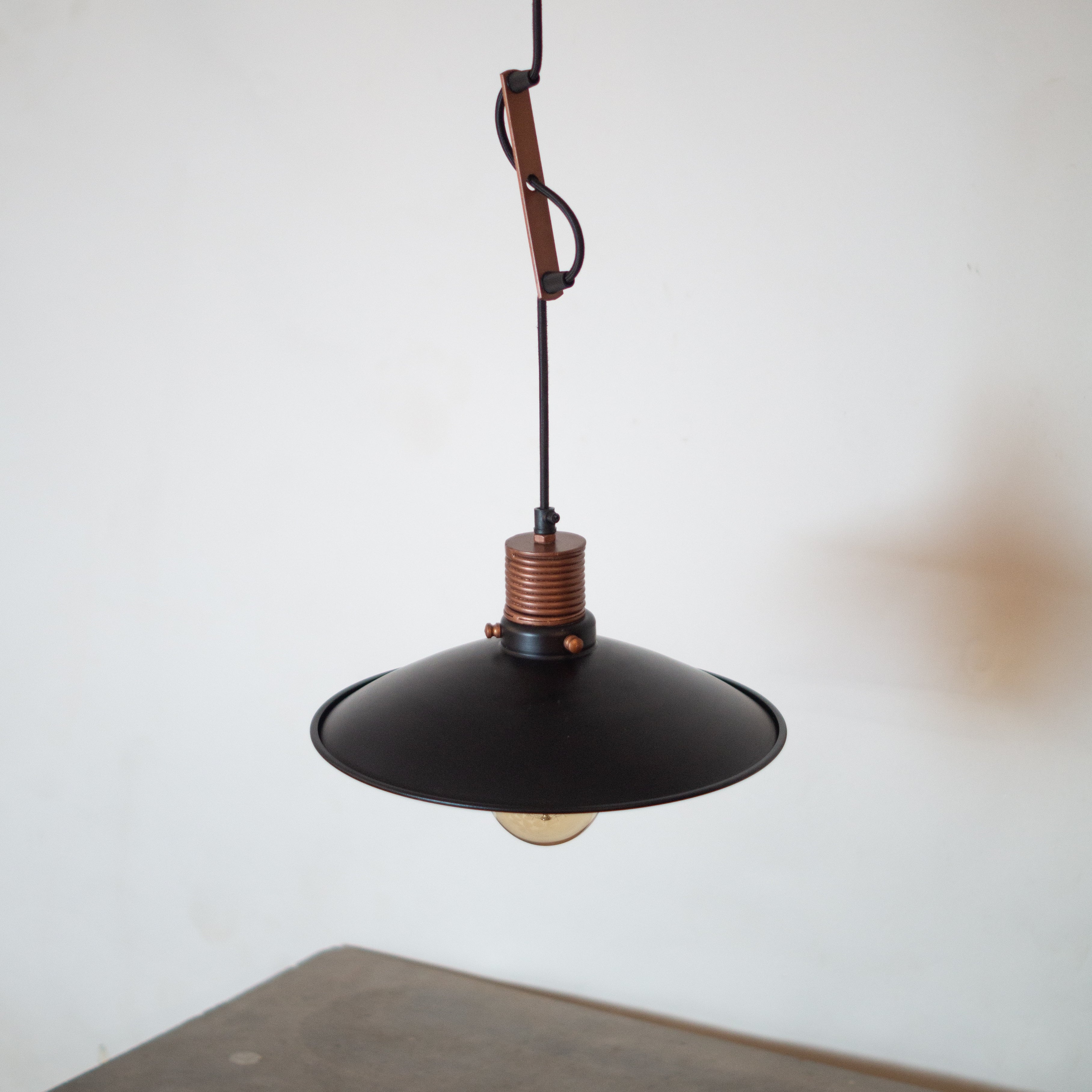 CLH161 Telegraph Hanging Light