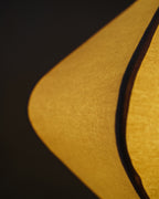 CLH177 Forma Fusion Ceiling Lamp