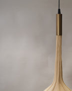 CLH177 Forma Fusion Ceiling Lamp