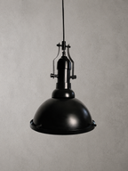 FLH109 Orchard Frosted Glass Black 13 Inch Pendant Ceiling Light