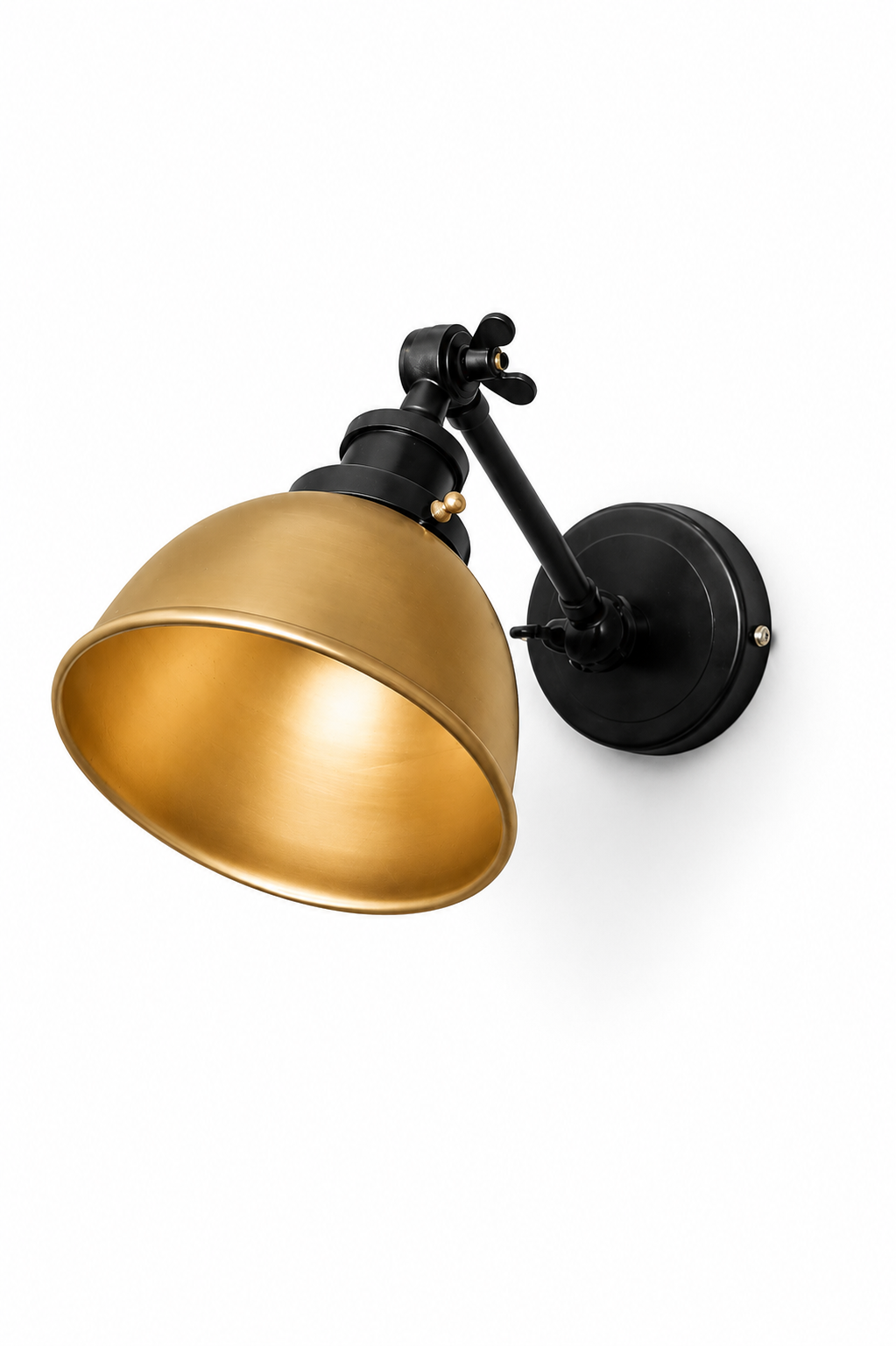 FSW225 Industrial Reach Wall Sconce