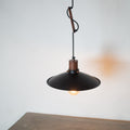 CLH161 Telegraph Hanging Light