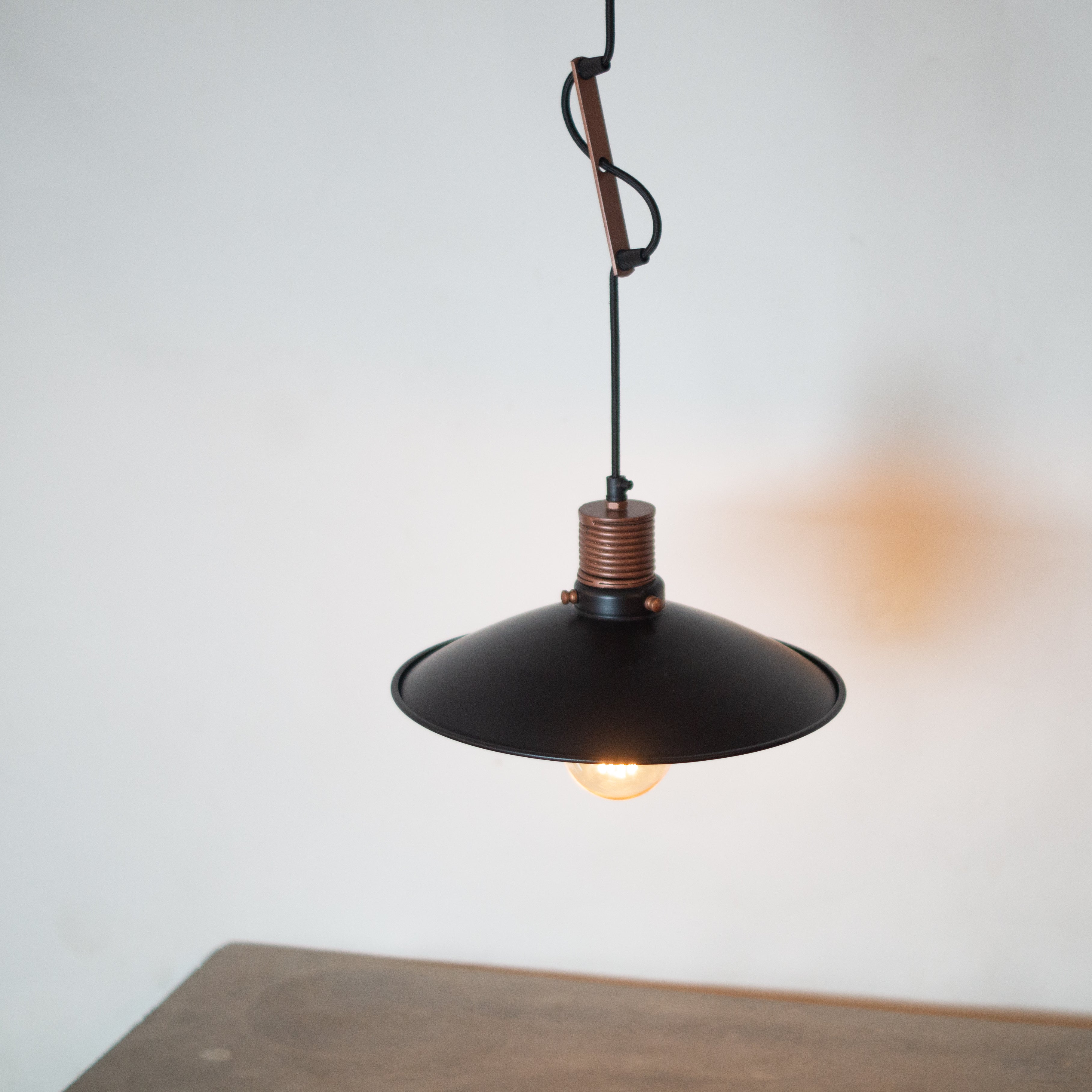 CLH161 Telegraph Hanging Light