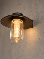 A modern outdoor wall sconce with a dark bronze-finished metal disc shade and a clear glass cylindrical bulb housing a glowing warm LED filament, mounted on a textured concrete wall.