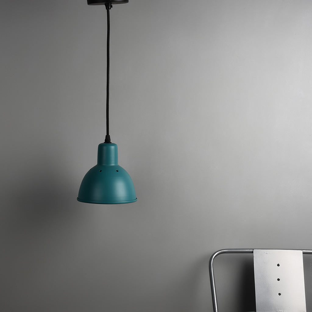 CLH149 Hawk Pendant Light