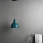 CLH149 Hawk Pendant Light