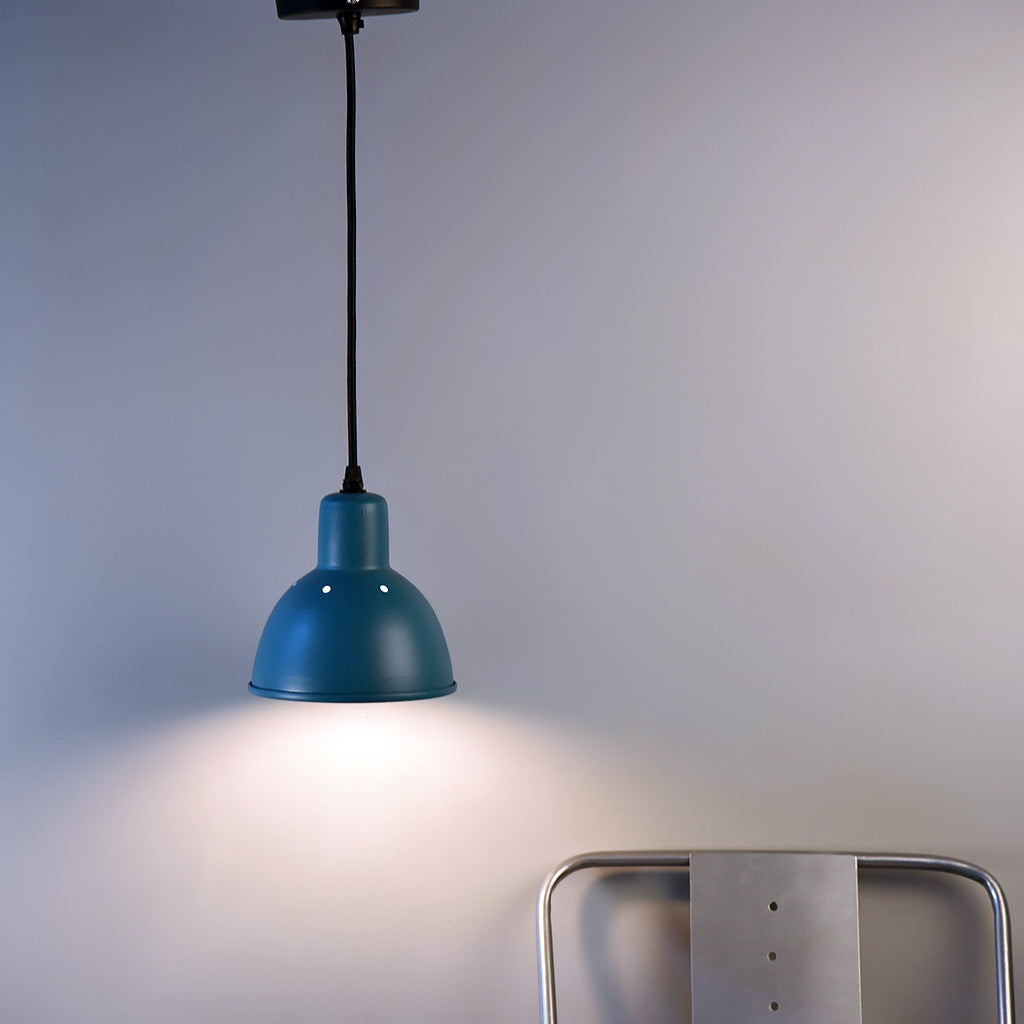 CLH149 Hawk Pendant Light