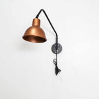 FSW 201 Swivel Arm Wall Mounted Light Fixture - The Black Steel