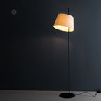 Scandinavian design metal floor lamp
