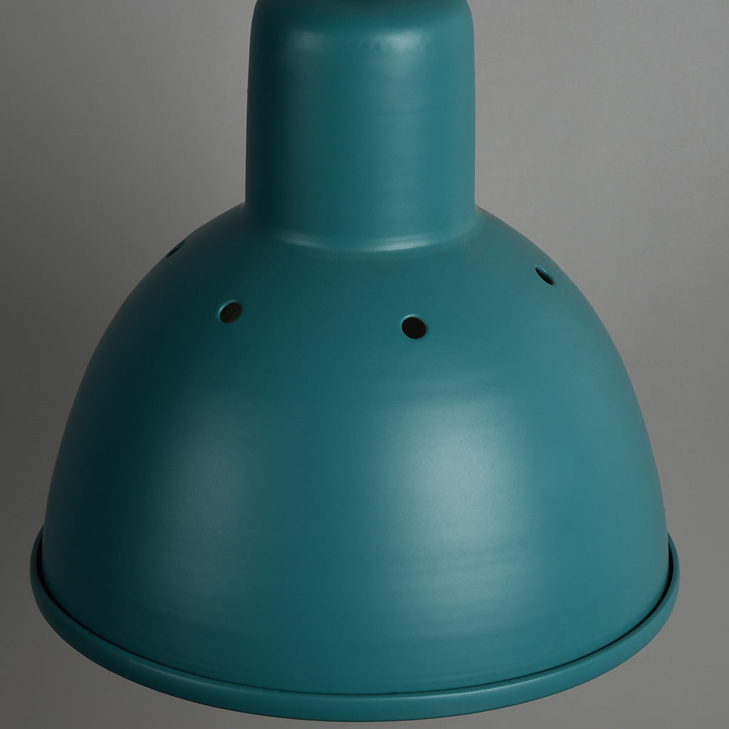 CLH149 Hawk Pendant Light