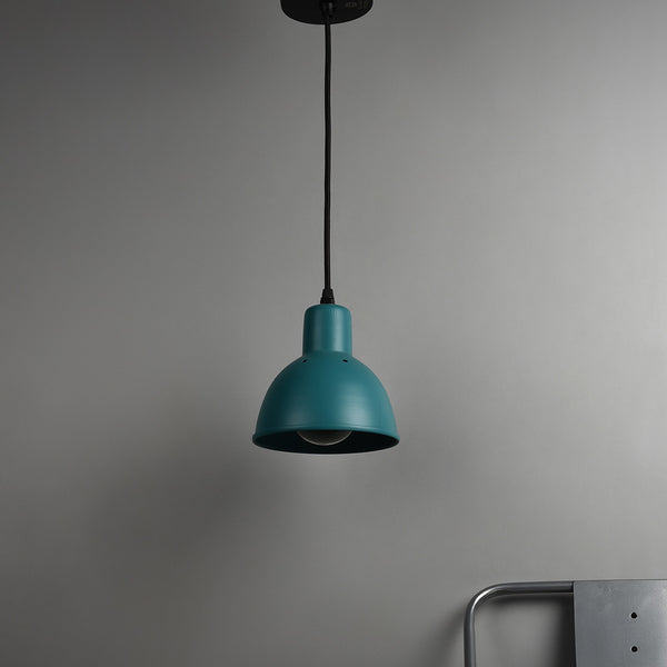 CLH149 Hawk Pendant Light