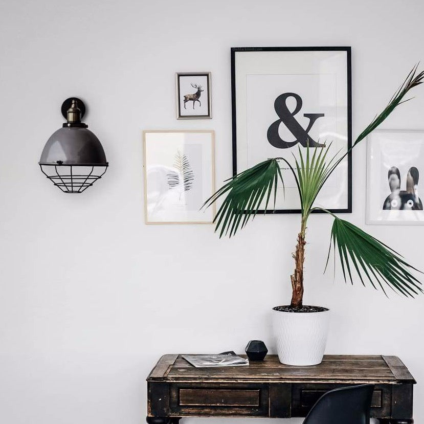 Metallic Silver Finish Industrial Retro Dome Wall Sconce - The Black Steel