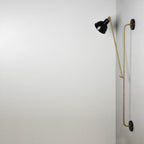 Brass finish lights online