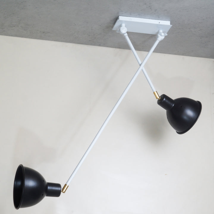 two arm double lamp light fixture chandelier pendant light ceiling